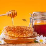 آذربایجان شرقی رتبه دوم تولید عسل را کسب کرد