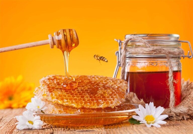 آذربایجان شرقی رتبه دوم تولید عسل را کسب کرد