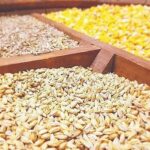 گوشت کالای لوکس نیست؛ 5 مطالبه جدی بسیج دانشجویی تبریز از جهاد کشاورزی گوشت کالای لوکس نیست؛ 5 مطالبه جدی بسیج دانشجویی تبریز از جهاد کشاورزی