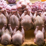 آذربایجان‌شرقی با تولید ۱۲۰ هزار تن گوشت مرغ به رتبه هفتم کشور رسید