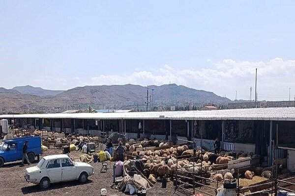 جایگاه‌های عرضه دام زنده به مناسبت عید قربان اعلام شد