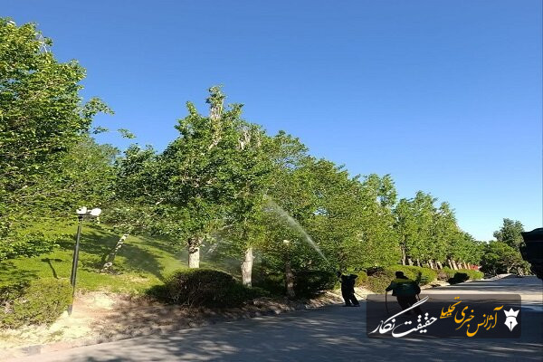 آغاز عملیات سمپاشی درختان در سطح مناطق دهگانه آغاز عملیات سمپاشی درختان در سطح مناطق دهگانه