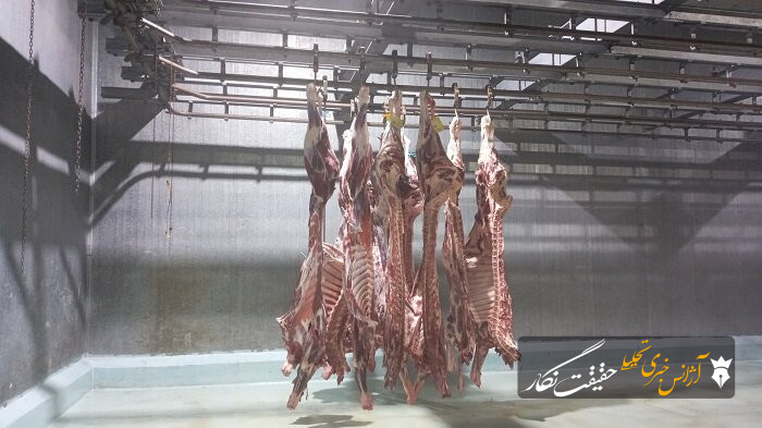 آغاز فاز عملیاتی احداث تونل انجماد در کشتارگاه تبریز