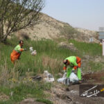 اقدامات نگهداشت شهری در منطقه ۷ طی دو ماه نخست سال جاری اقدامات نگهداشت شهری در منطقه ۷ طی دو ماه نخست سال جاری