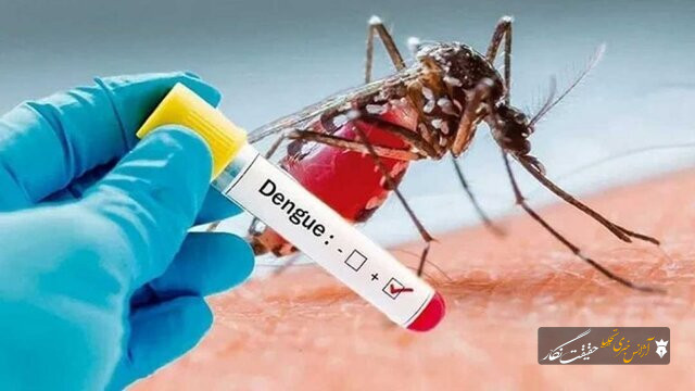 موارد مثبتی از تب دنگی فعلا در آذربایجان شرقی شناسایی نشده است موارد مثبتی از تب دنگی فعلا در آذربایجان شرقی شناسایی نشده است