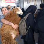 اعلام قیمت دام زنده، یک روز قبل از عید قربان اعلام قیمت دام زنده، یک روز قبل از عید قربان