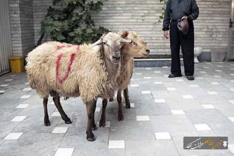 اهدای هزینه قربانی به جای ذبح دام، آزادی دو زندانی غیرعمد را در تبریز رقم زد