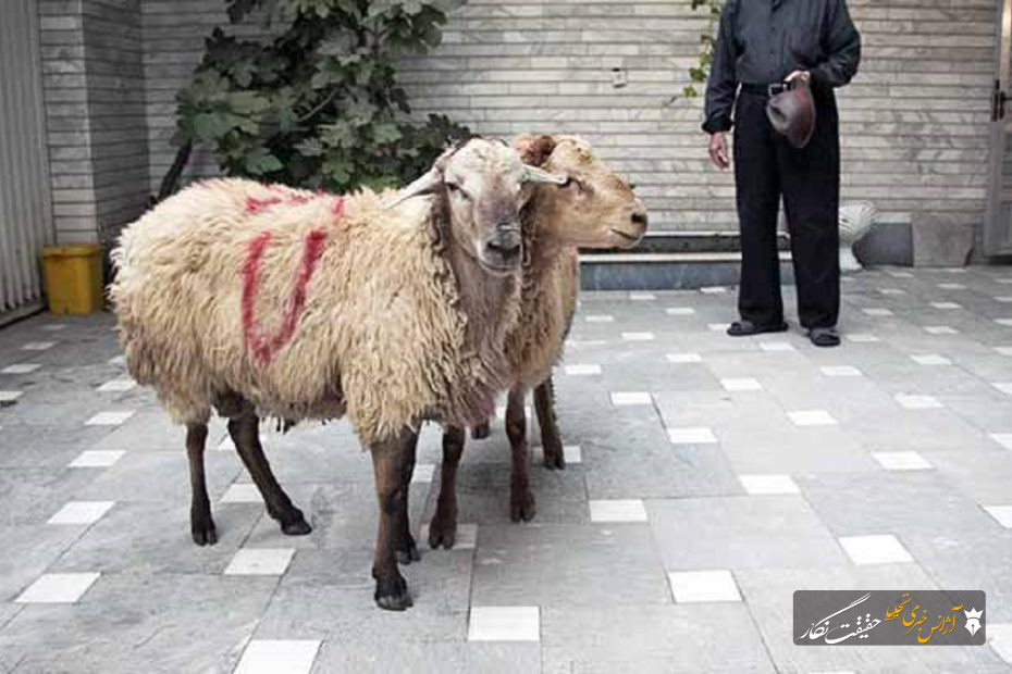 اهدای هزینه قربانی به جای ذبح دام، آزادی دو زندانی غیرعمد را در تبریز رقم زد اهدای هزینه قربانی به جای ذبح دام، آزادی دو زندانی غیرعمد را در تبریز رقم زد