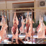 اجرای طرح نظارت بهداشتی بر دامهای قربانی با هدف صیانت از سلامت عمومی اجرای طرح نظارت بهداشتی بر دامهای قربانی با هدف صیانت از سلامت عمومی