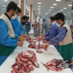 نظارت شرعی و بهداشتی بر ۲ هزار راس دام زنده و لاشه دام در آذربایجان‌شرقی