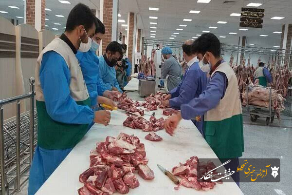 نظارت شرعی و بهداشتی بر ۲ هزار راس دام زنده و لاشه دام در آذربایجانشرقی نظارت شرعی و بهداشتی بر ۲ هزار راس دام زنده و لاشه دام در آذربایجانشرقی
