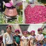 شلیلوند، روستایی با عطر بهشتی گل محمدی شلیلوند، روستایی با عطر بهشتی گل محمدی