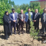 عضو مجلس خبرگان: توسعه بخش کشاورزی با علم و دانش میسر است عضو مجلس خبرگان: توسعه بخش کشاورزی با علم و دانش میسر است