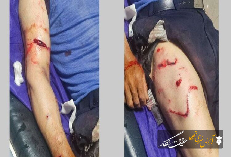 حمله خرس به یک روستایی در مراغه