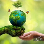 محیط زیست شهری، سرمایهای برای امروز و فردا محیط زیست شهری، سرمایهای برای امروز و فردا