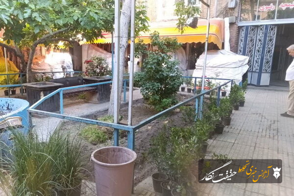 کاشت سیصد درختچه شمشاد در سرای امید باشماقچی بازار کاشت سیصد درختچه شمشاد در سرای امید باشماقچی بازار