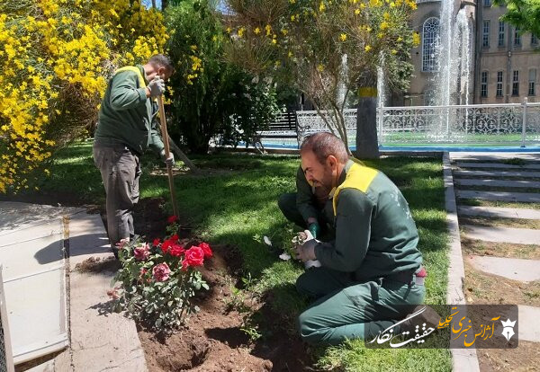 کاشت ۶۰۰ بوته گل رز و درختچه پاپیتال در محوطه عمارت تاریخی ساعت