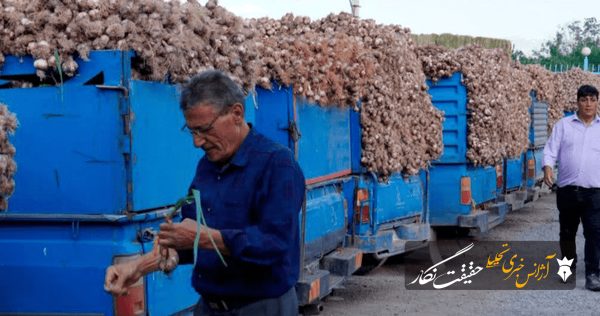 سیرکاران؛ قربانی بازار آشفته سیرکاران؛ قربانی بازار آشفته