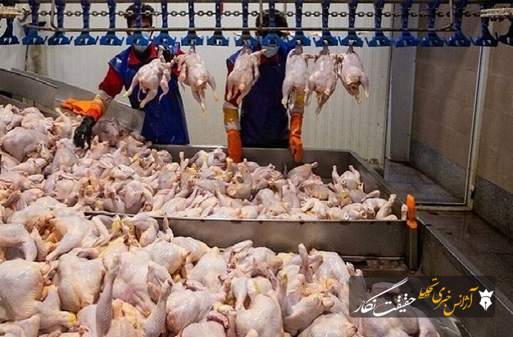 فاصله ۳۰درصدی قیمت مرغ زنده تا بازار مصرف/ تخممرغ زیر قیمت تمام شده عرضه میشود فاصله ۳۰درصدی قیمت مرغ زنده تا بازار مصرف/ تخممرغ زیر قیمت تمام شده عرضه میشود