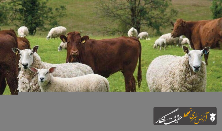 ورود دام به ۷۰ هزار هکتار ییلاقات شهرستان طارم ممنوع است