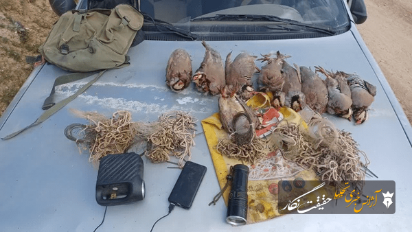 دستگیری ۲ گروه شکارچی غیرمجاز کبک در مراغه