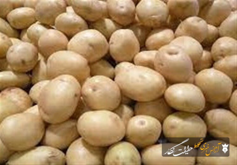 تولید 70 هزار تن سیب‌زمینی در آذربایجان شرقی؛ ضرورت توسعه صنایع تبدیلی