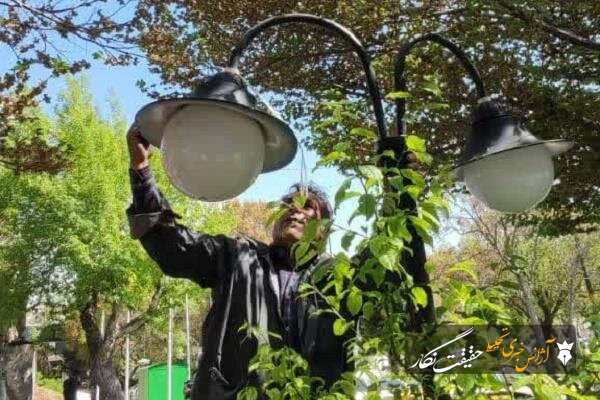 تعمیر و نوسازی چراغهای روشنایی در معابر شهرداری منطقه ۸ تعمیر و نوسازی چراغهای روشنایی در معابر شهرداری منطقه ۸