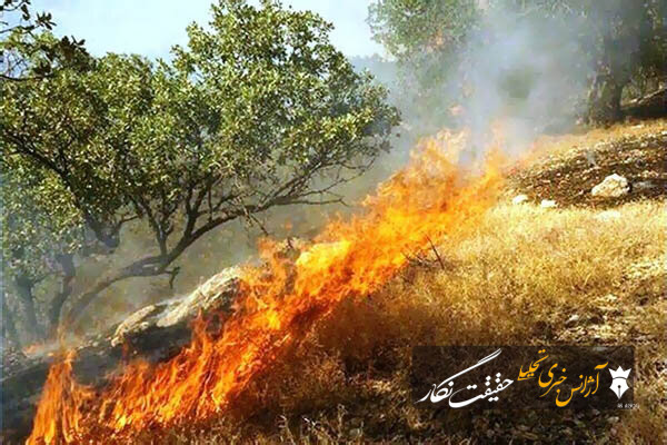 هشدار آتشنشانی تبریز نسبت به افزایش خطر آتشسوزی علفهای هرز در فصل گرما/۴۱۹ عملیات اطفاء حریق از ابتدای سال هشدار آتشنشانی تبریز نسبت به افزایش خطر آتشسوزی علفهای هرز در فصل گرما/۴۱۹ عملیات اطفاء حریق از ابتدای سال