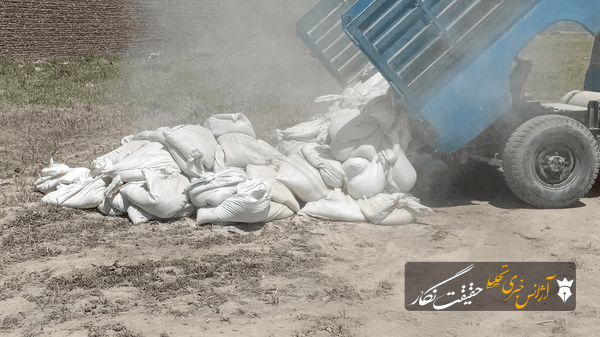 معدومسازی ۳ تن کنجاله سویای غیرقابل مصرف در تبریز معدومسازی ۳ تن کنجاله سویای غیرقابل مصرف در تبریز