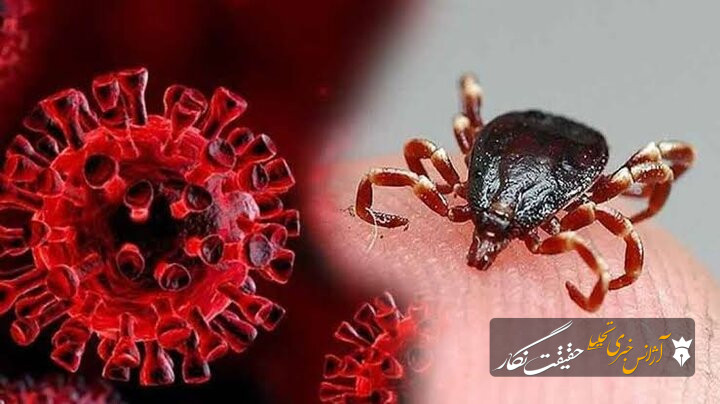 تب کریمه کنگو در کمین/افزایش فعالیت کنهها در فصل تابستان تب کریمه کنگو در کمین/افزایش فعالیت کنهها در فصل تابستان