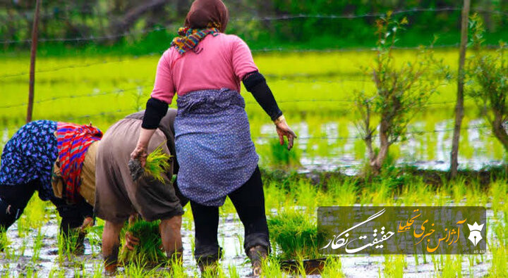 زنان روستایی بازیگران اصلی اقتصاد محلی هستند