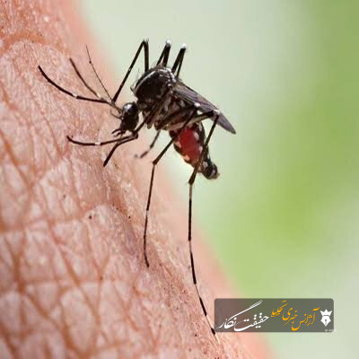 مالاریا در آذربایجان شرقی کنترل شده، اما خطر ورود موارد جدید وجود دارد