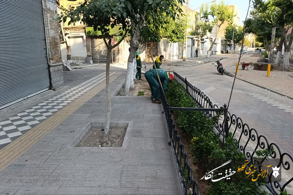 photo 2026 07 08 10 44 20