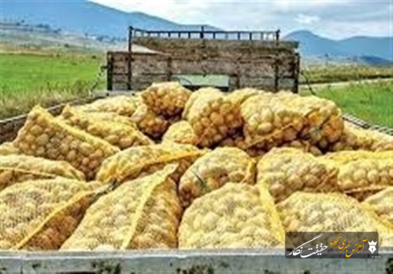 صادرات سیب‌زمینی تا پایان سال ممنوع شد
