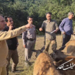 مارال در آستانه بازگشت به ارسباران مارال در آستانه بازگشت به ارسباران