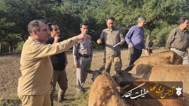 مارال در آستانه بازگشت به ارسباران