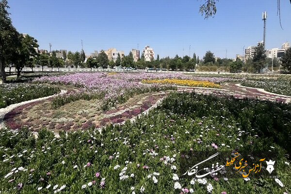 شکوفائی چشمنواز باغ گل مجموعه تاریخی و تفریحی ائل گلی