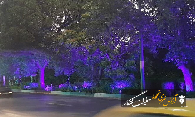 درختان بلوار چایکنار نورپردازی می‌شوند