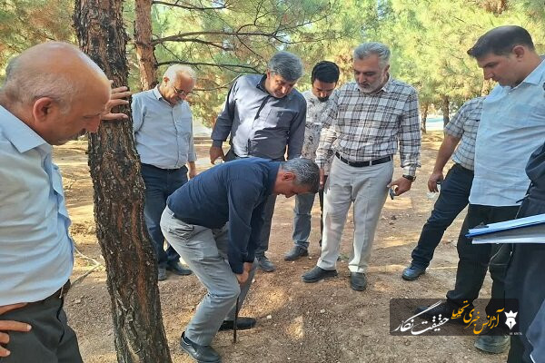 ارزیابی فضای سبز منطقه ۱۰ تبریز در پنجمین روز بازدیدهای میدانی