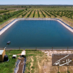 شناسایی ۲۳۳۱ استخر نامتعارف در شبستر