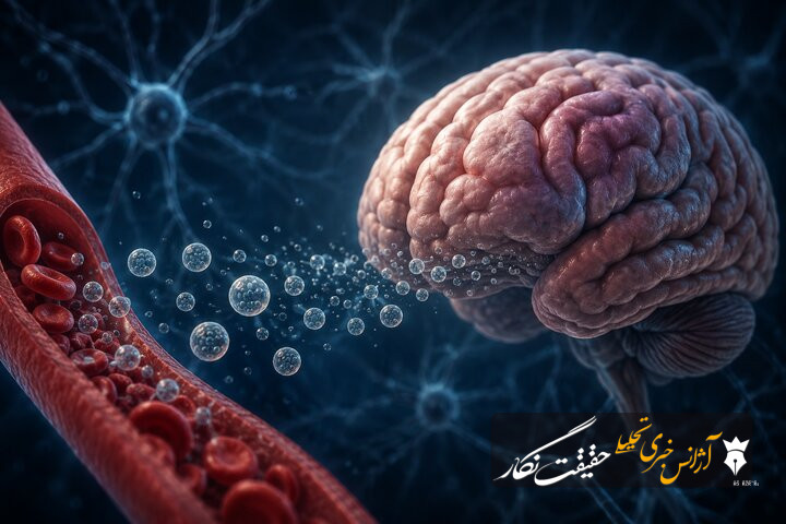 وزیکول‌های خارج‌سلولی؛ سرنخی تازه برای تشخیص زودهنگام بیماری‌های مغزی