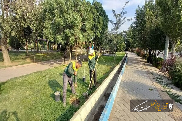 توسعه فضای سبز منطقه ۴ تبریز با کاشت ۳۳۵ هزار اصله نهال، درختچه و نشاء