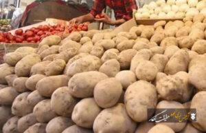 صادرات سیب‌زمینی، پیاز و گوجه‌فرنگی در فارس تا پایان سال ممنوع شد