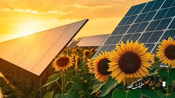 5226 هکتار از اراضی ملی آذربایجان‌شرقی زیر چتر انرژی خورشیدی رفت